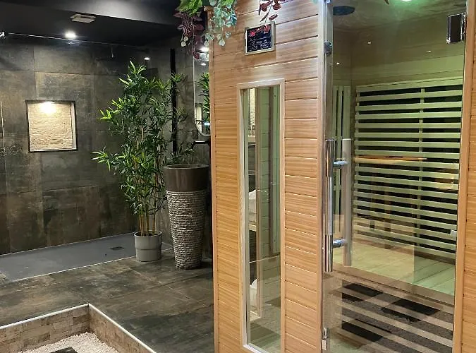 Апартаменты & Exotic - Balneo - Sauna - Parking Клермон-Ферран